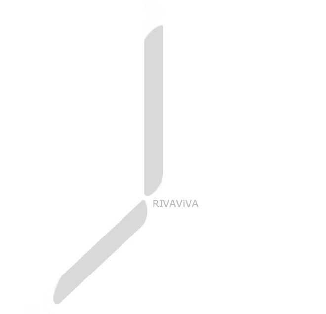 rivaviva.co